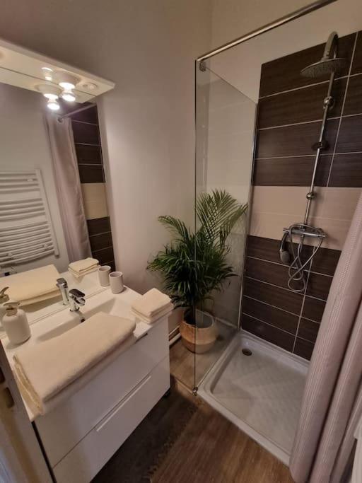 Le Dali-Duplex Au Pied De Castillet Perpignan Ngoại thất bức ảnh